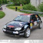 Rally Bellunese 2013