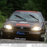 Rally Bellunese 2011