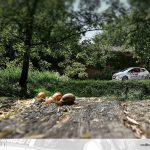 Rally Città di Scorzè 2019